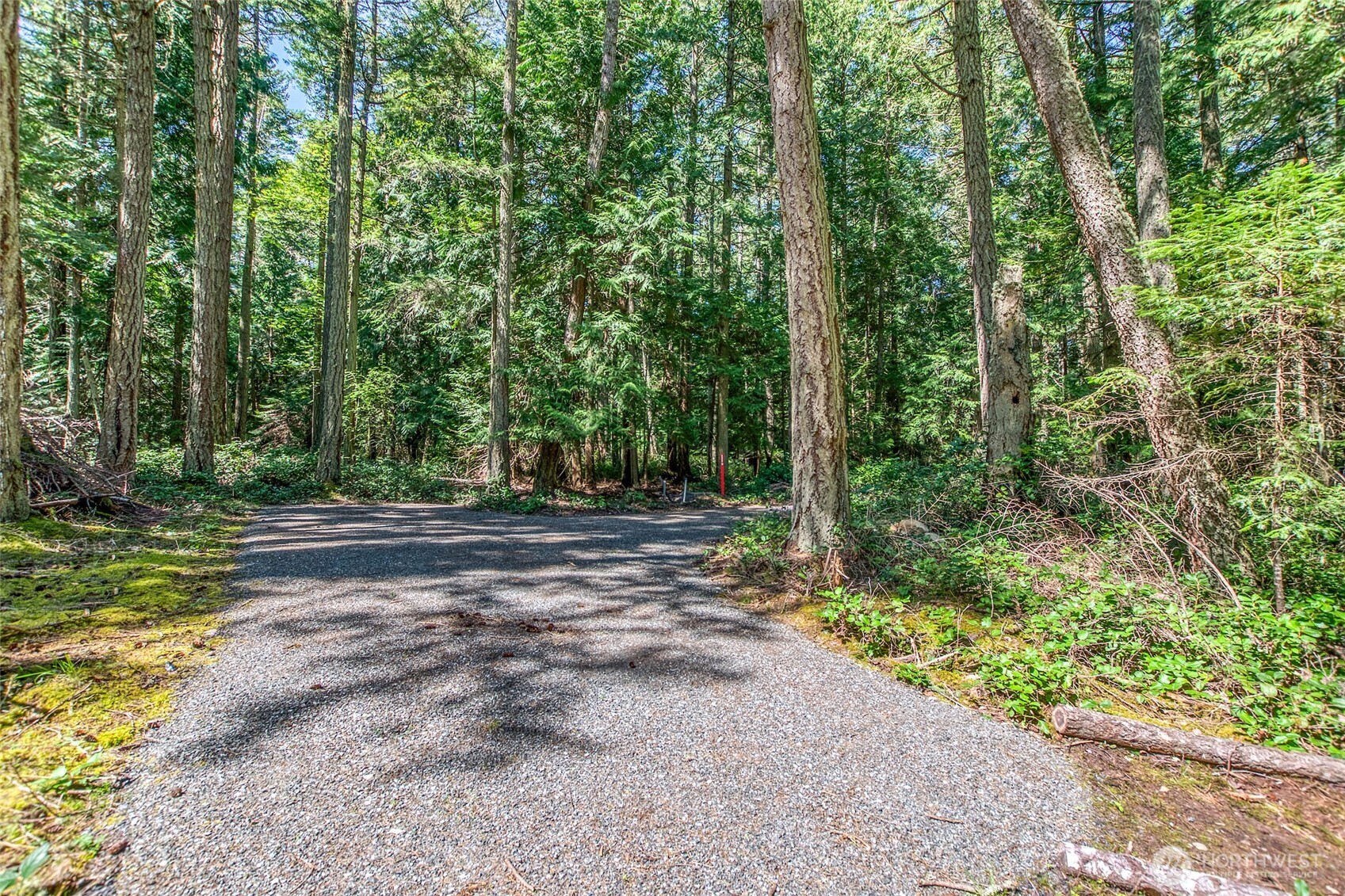 0 Tibbs Road Shaw Island, WA 98286 - Photo 14 of 36 Gallery Image 14