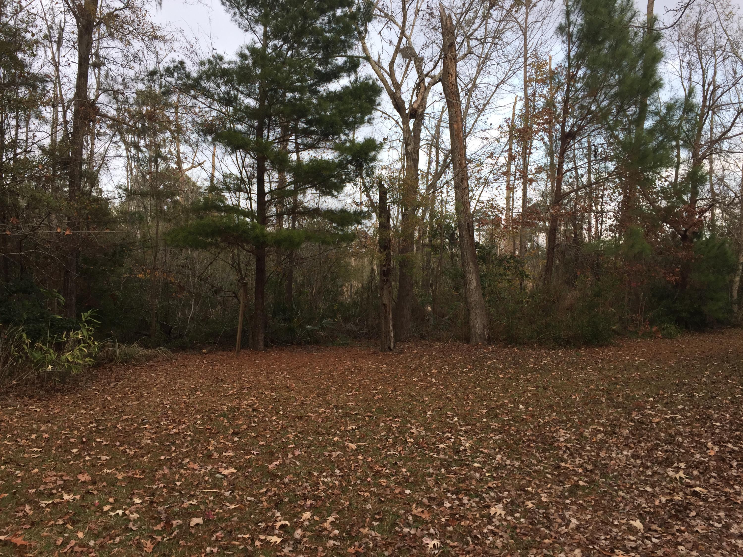 9472 Ayscough Road Summerville, SC 29485 - Photo 5 of 6 IMG_0172