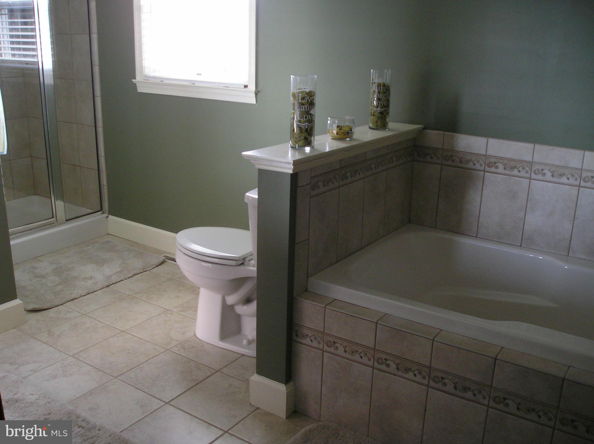 12624 Knepper Road Clear Spring, MD 21722 - Photo 12 of 21 Bath (Master)