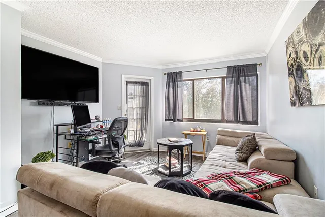 a living room with furniture a rug and a flat screen tv