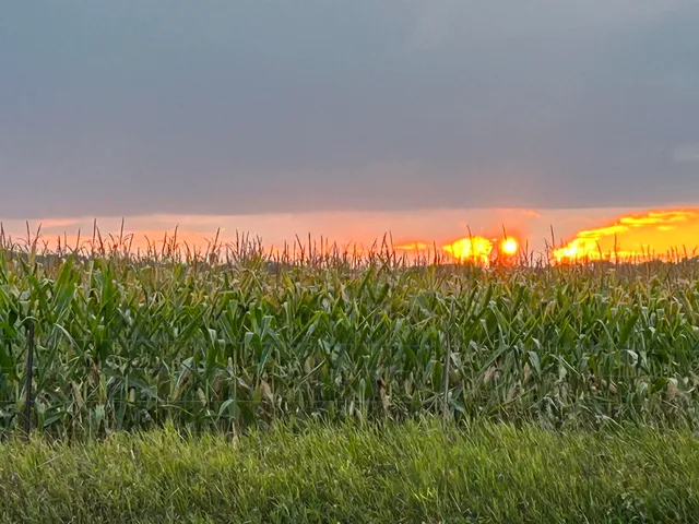 $219,900 | 4012 County Rd G, Wisconsin Dells, WI 53965