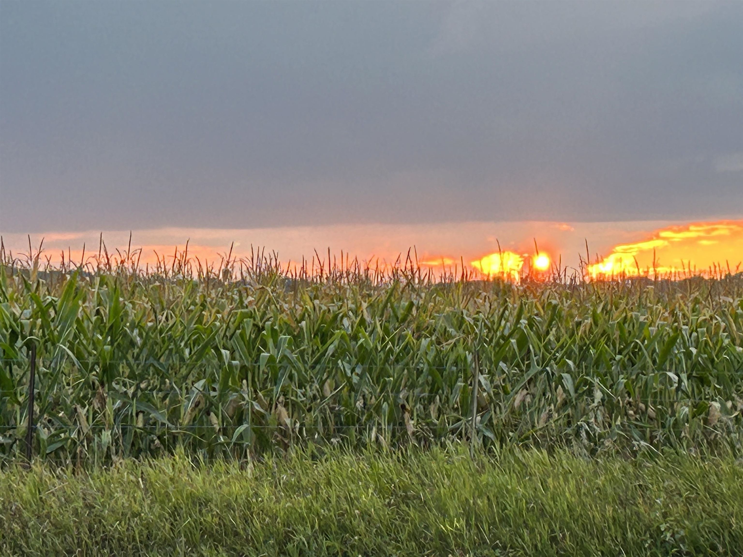 4012 County Rd G Wisconsin Dells, WI 53965 - Photo 2 of 25