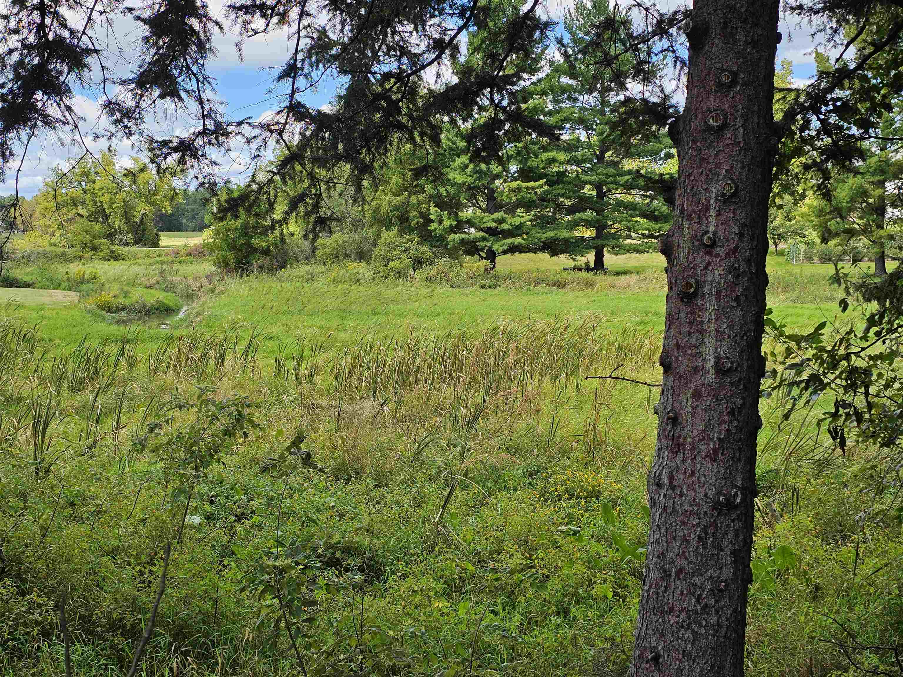 4012 County Rd G Wisconsin Dells, WI 53965 - Photo 26 of 26