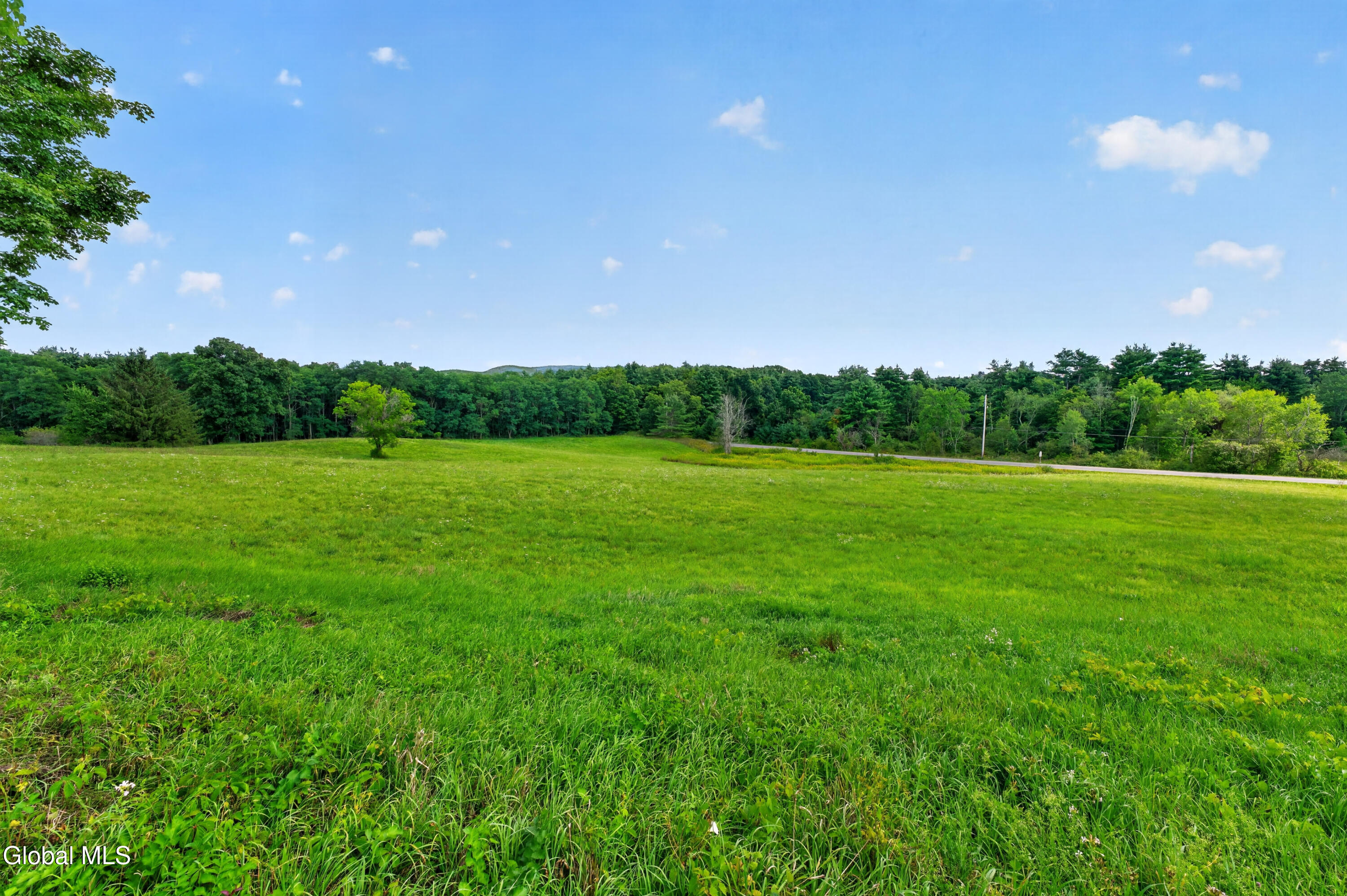 97 Newman Road Salem, NY 12873 - Photo 56 of 61 Yard 9