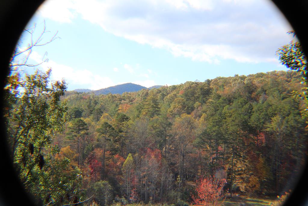Lot 17 Old Taylors Ferry Ridge Murphy, NC 28906 - Photo 1 of 10 a view of a house with a mountain in the background