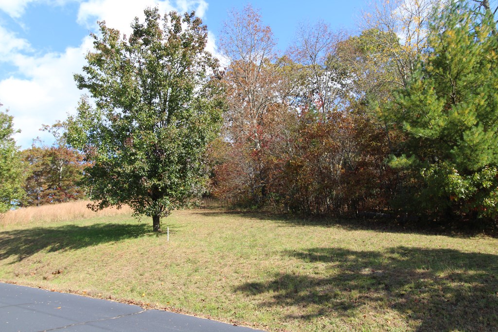 Lot 17 Old Taylors Ferry Ridge Murphy, NC 28906 - Photo 2 of 10 a view of yard