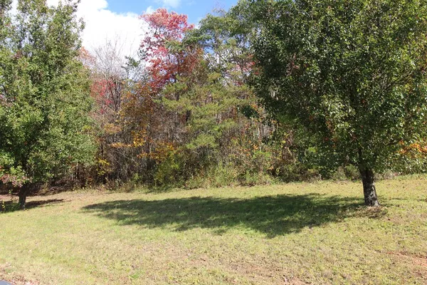 a view of yard with green space