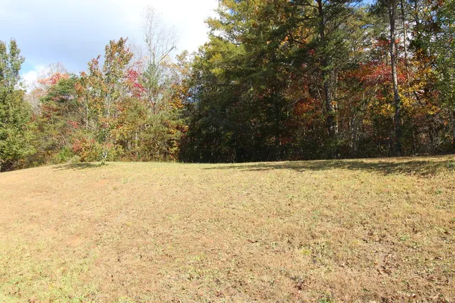 a view of yard with large trees