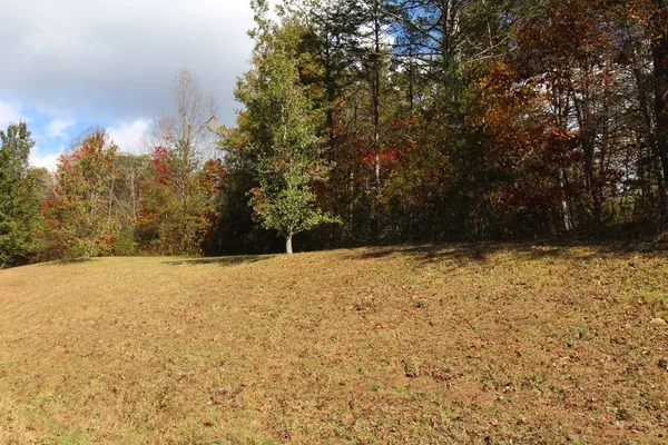 a view of outdoor space