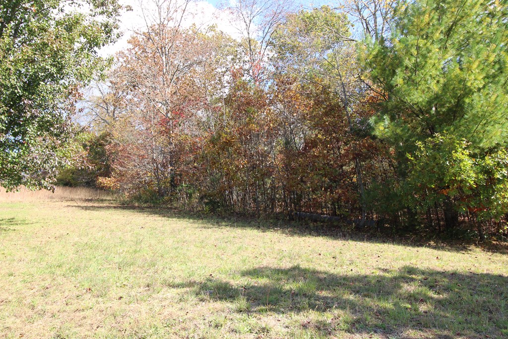 Lot 17 Old Taylors Ferry Ridge Murphy, NC 28906 - Photo 10 of 10 a view of a yard