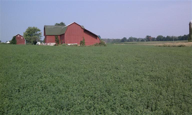 South Tripp Road Waldron, MI 49288 - Photo 2 of 5 Additional Photo