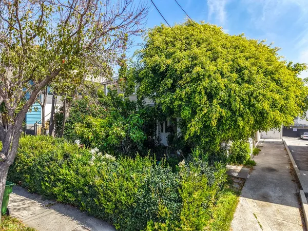 a view of a garden