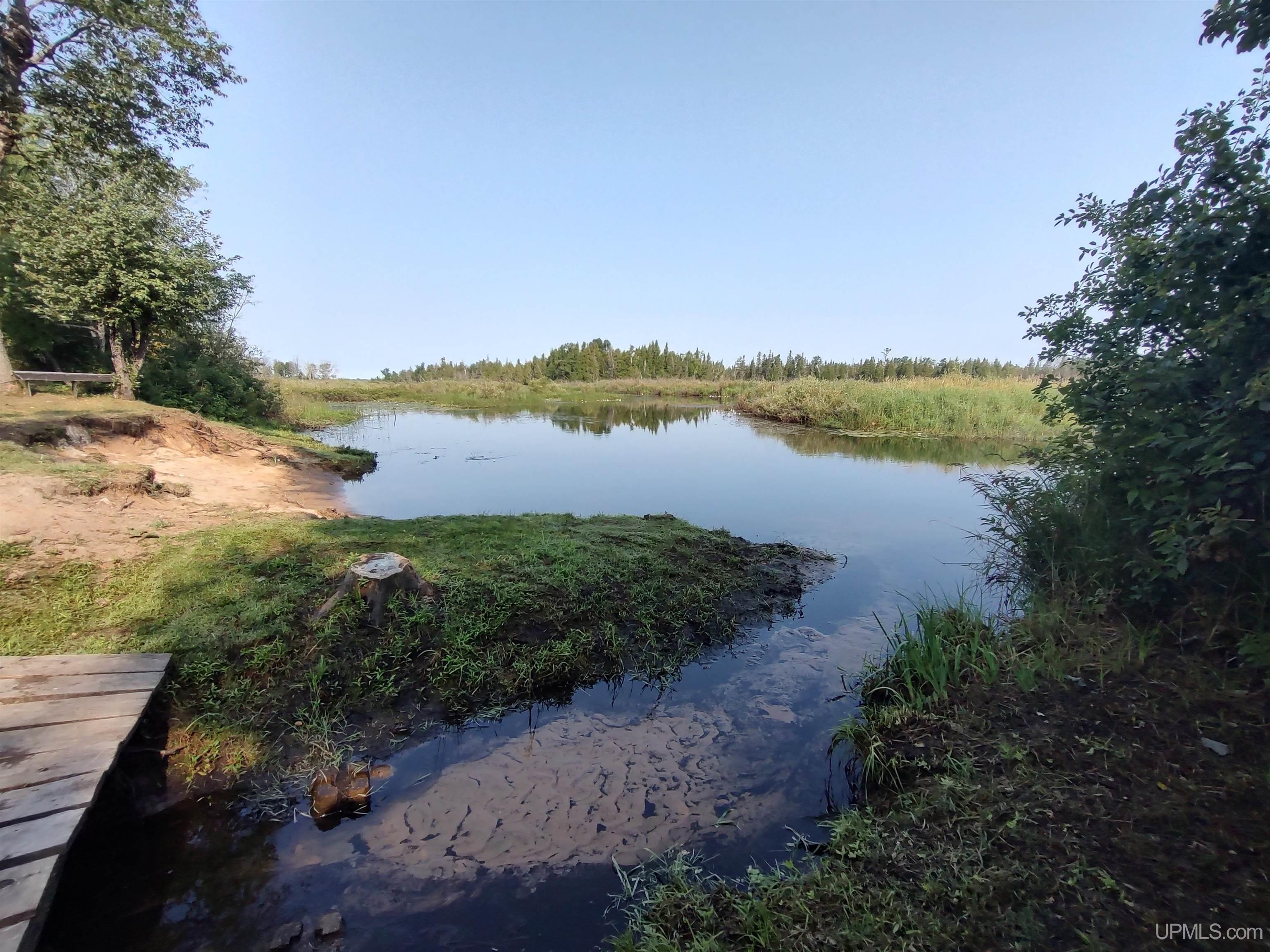 387 Rd Mcmillan Mi 49853 Road Newberry, MI 49868 - Photo 58 of 78