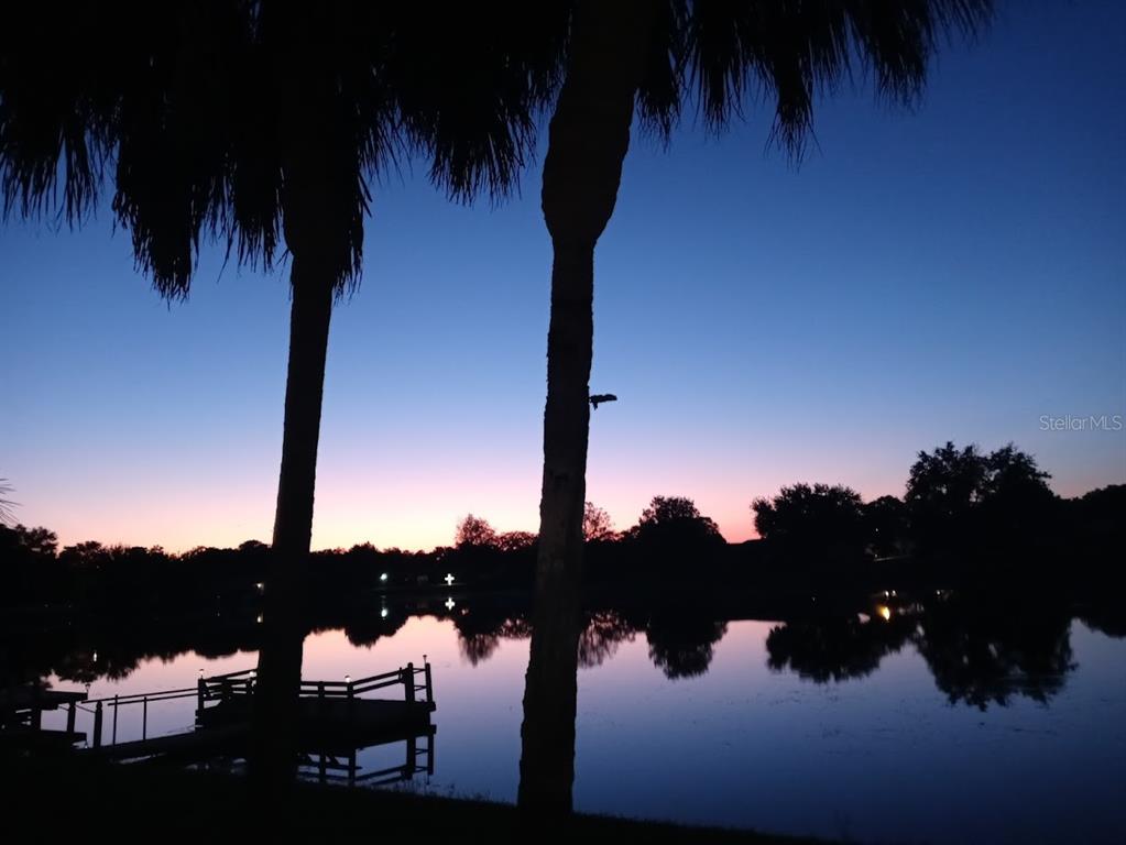 9135 Lingrove Road Weeki Wachee, FL 34613 - Photo 3 of 38