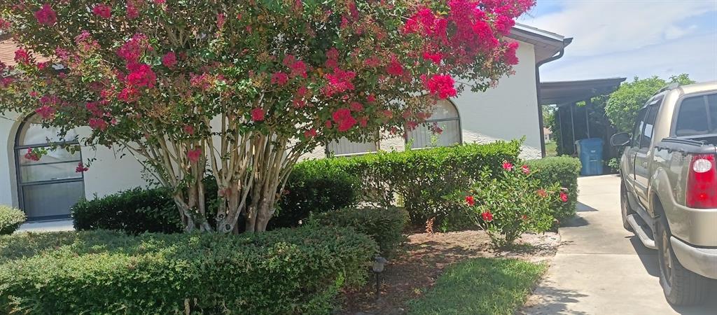 9135 Lingrove Road Weeki Wachee, FL 34613 - Photo 37 of 38