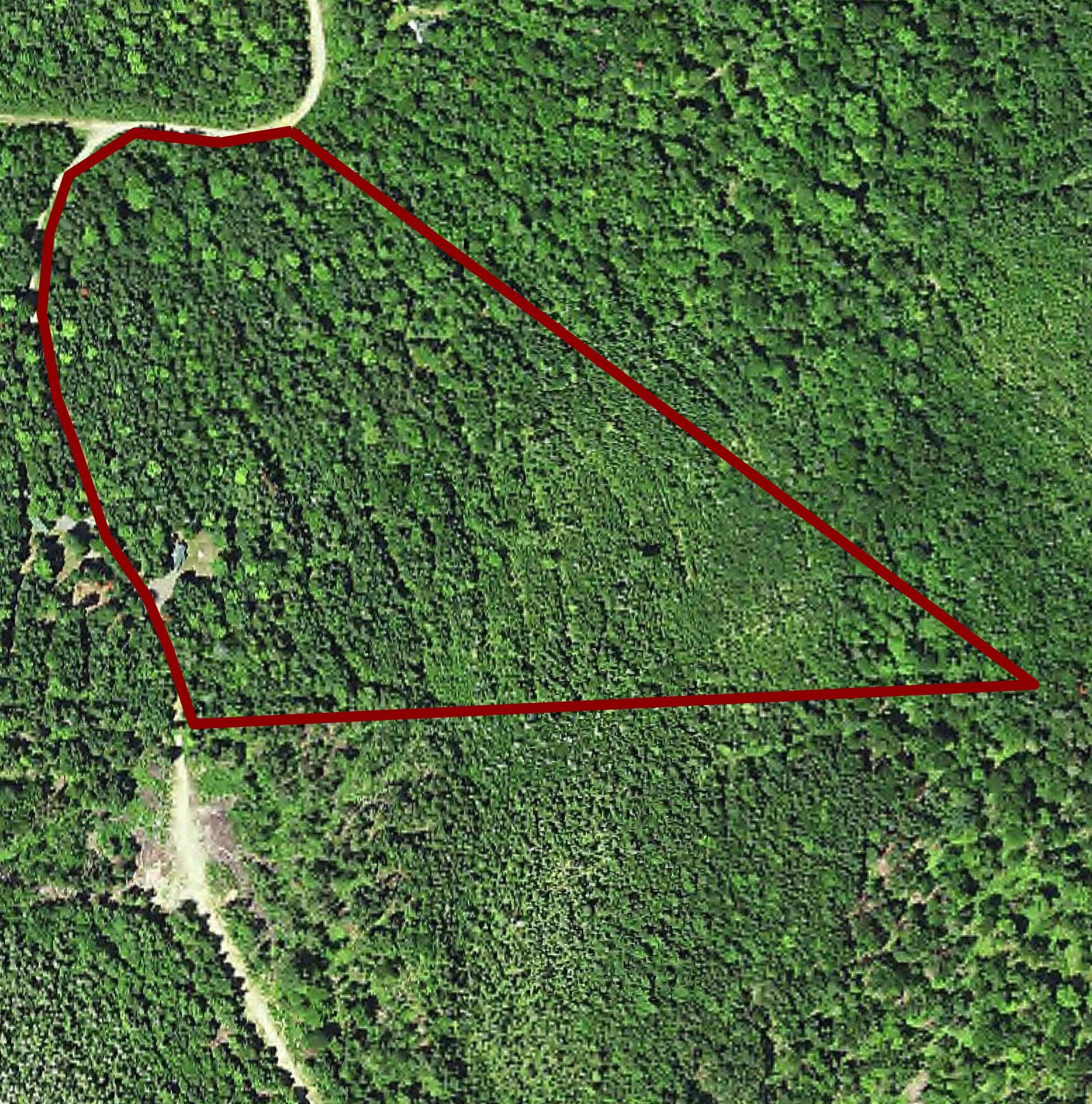 M2-l13-8 Denmark Road Wytopitlock, ME 04497 - Photo 13 of 13 M2L13-8 Aerial Map