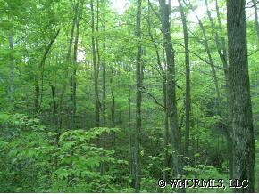 3 Oriole Road Brevard, NC 28712 - Photo 1 of 1 Gallery Image 1