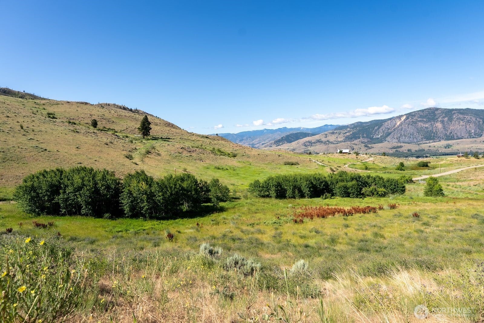 121 Finley Canyon Road Twisp, WA 98856 - Photo 13 of 27