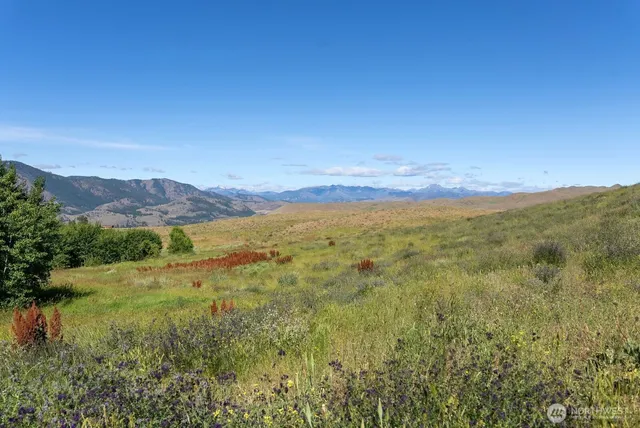 $350,000 | 121 Finley Canyon Road, Twisp, WA 98856