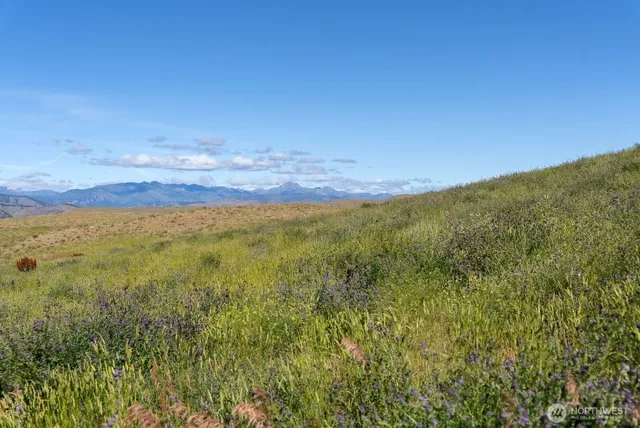 $350,000 | 121 Finley Canyon Road, Twisp, WA 98856