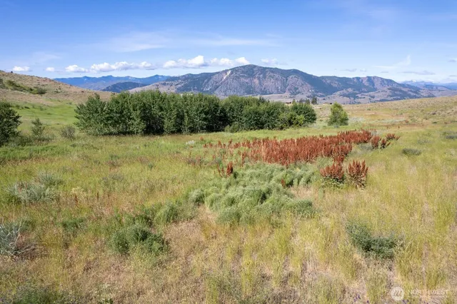 $350,000 | 121 Finley Canyon Road, Twisp, WA 98856