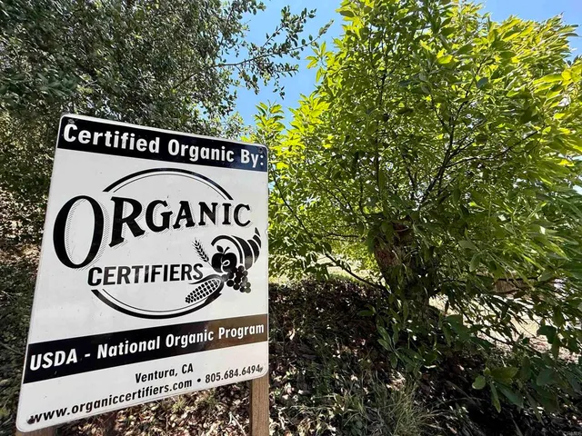 $2,975,000 | 3137 East Valley Parkway, Escondido, CA 92027