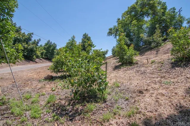 $2,975,000 | 3137 East Valley Parkway, Escondido, CA 92027