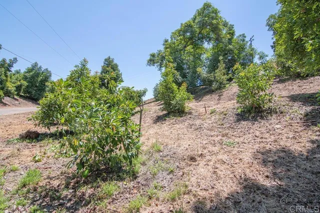 $2,975,000 | 3137 East Valley Parkway, Escondido, CA 92027