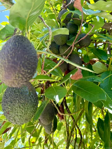 $2,975,000 | 3137 East Valley Parkway, Escondido, CA 92027