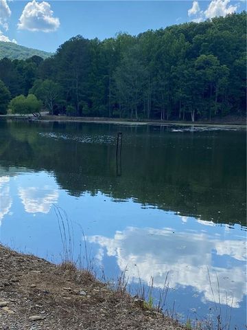 Big Buck Mountain, Ellijay, GA Homes for Sale - Big Buck Mountain Real