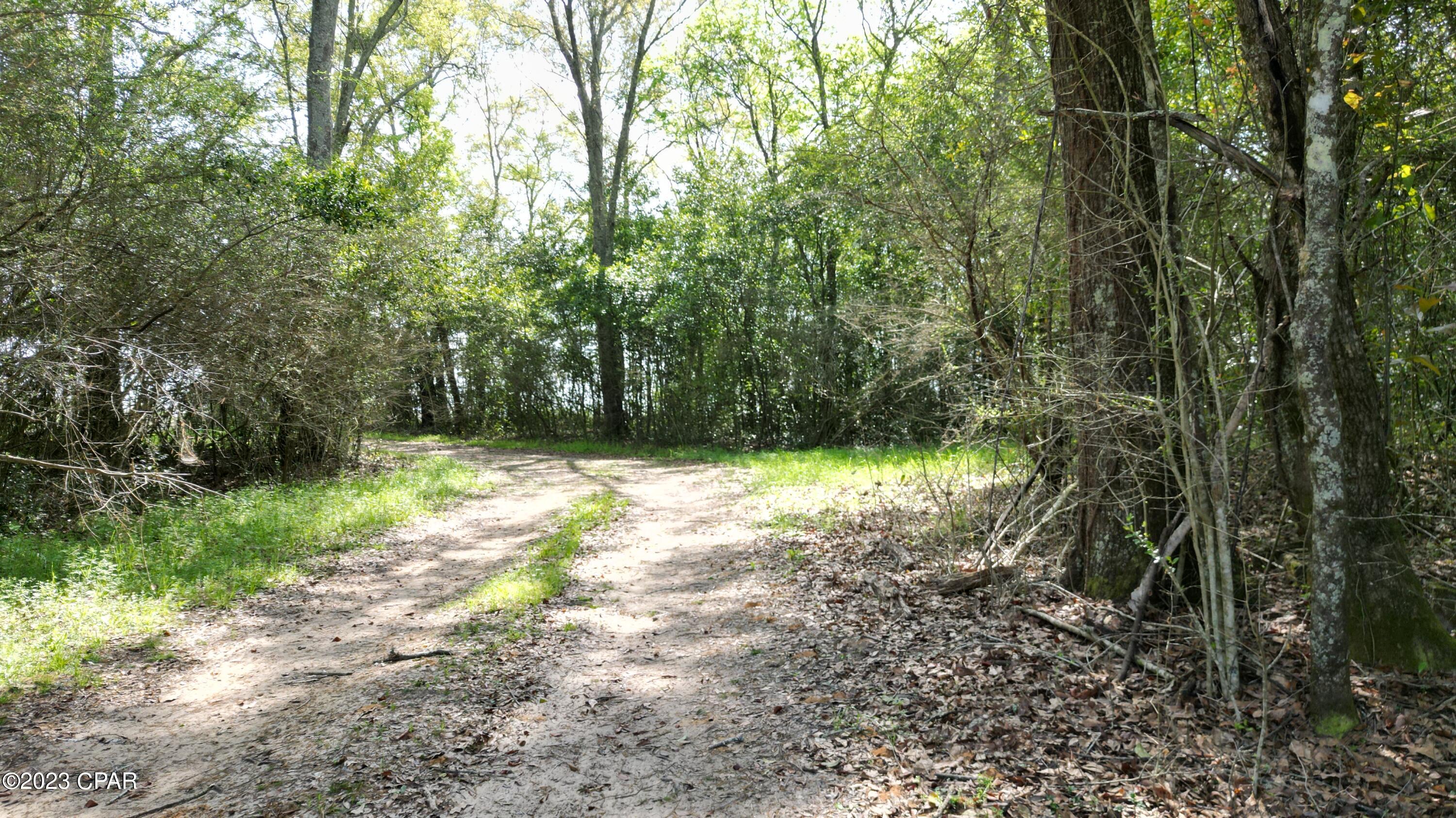 0 Anderson Road Bonifay, FL 32425 - Photo 6 of 16 Gallery Image 6