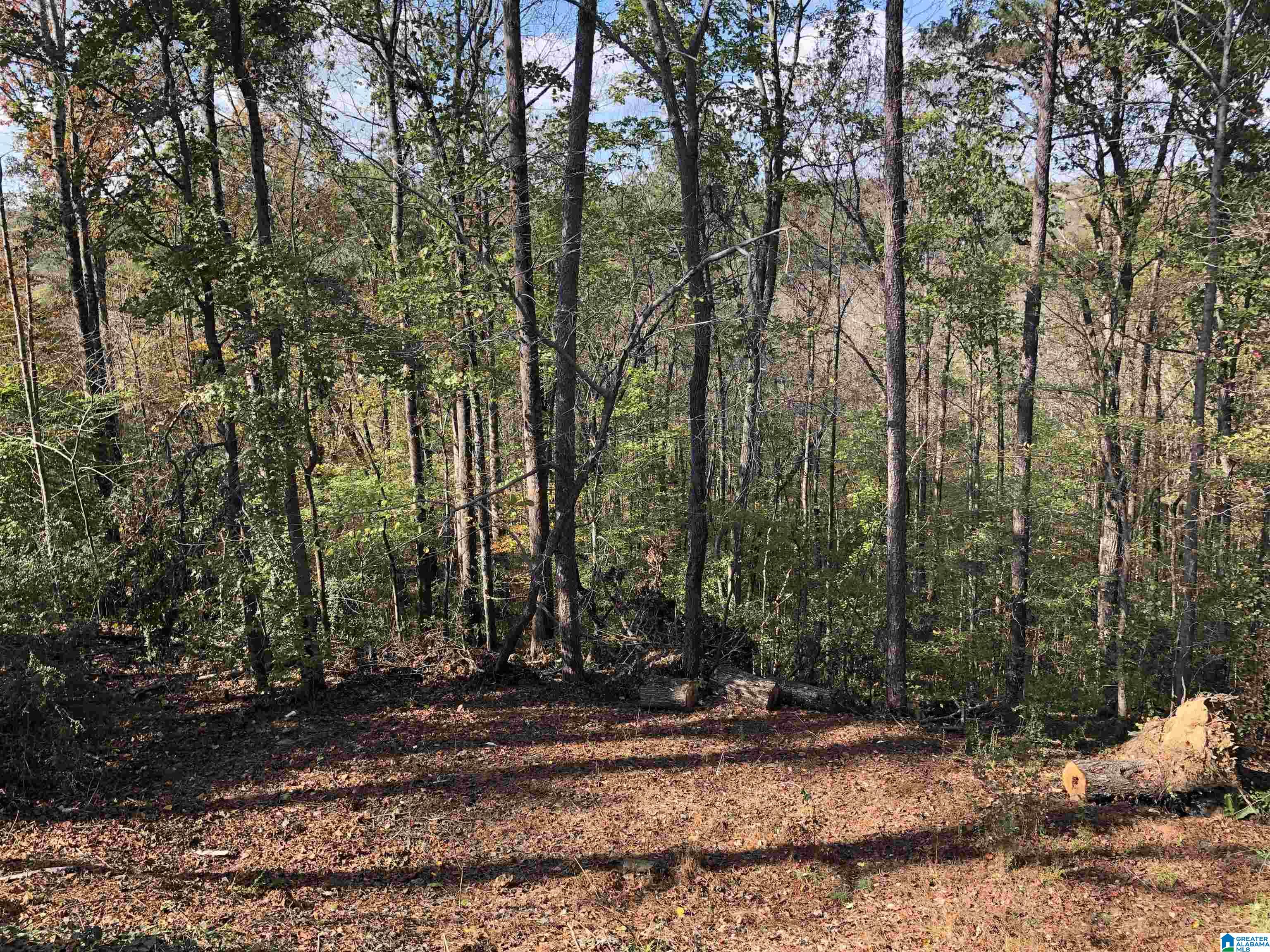 3209 Smith Sims Road Trussville, AL 35173 - Photo 39 of 39
