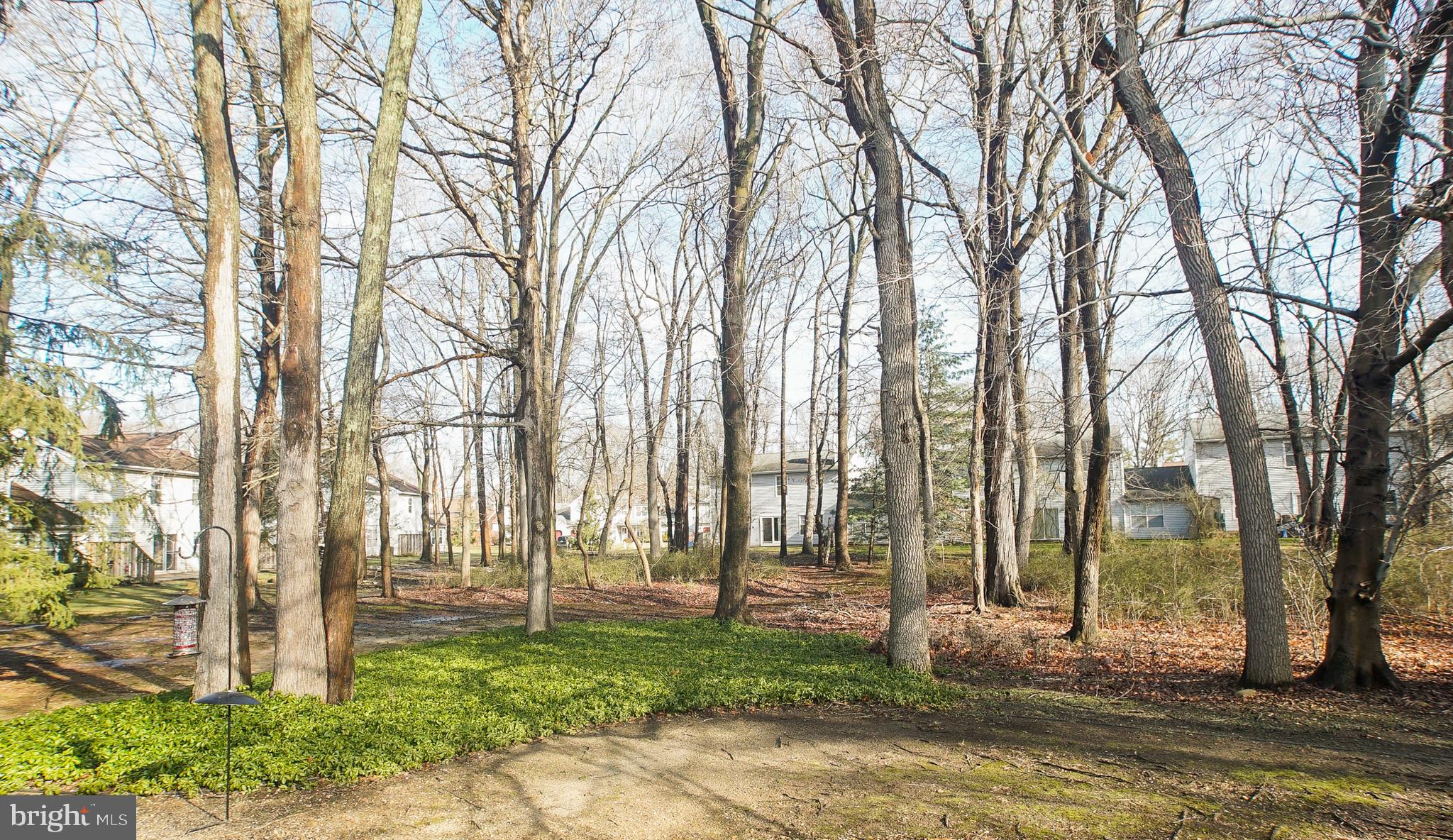 38 Spruce Road Hightstown, NJ 08520 - Photo 28 of 32