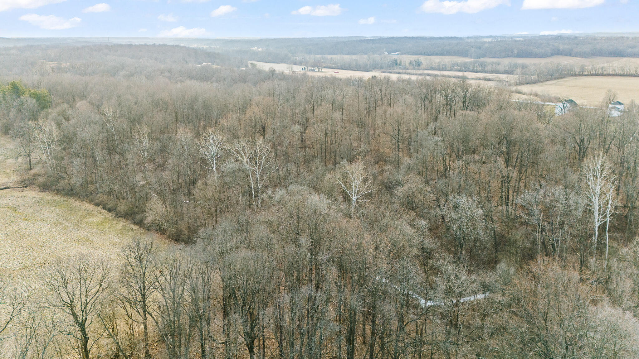 10999 Morrison-Mikesell Road New Paris, OH 45347 - Photo 11 of 51 DJI_20260123144351_0759_D