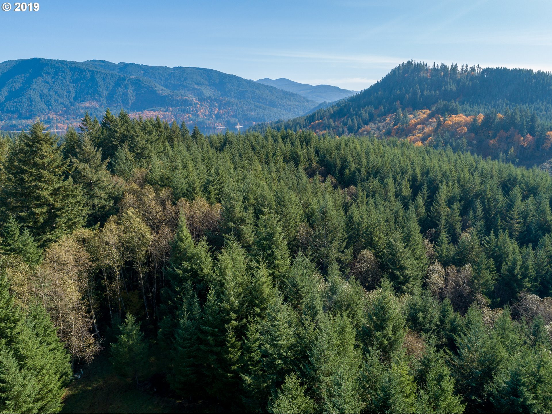 625 Yale Bridge Road Ariel, WA 98603 - Photo 3 of 21 Gallery Image 3