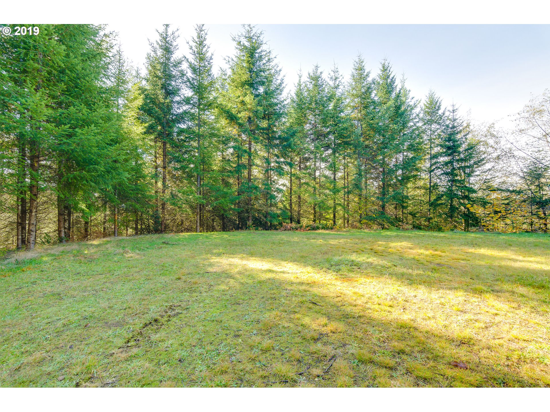 625 Yale Bridge Road Ariel, WA 98603 - Photo 4 of 21 Gallery Image 4
