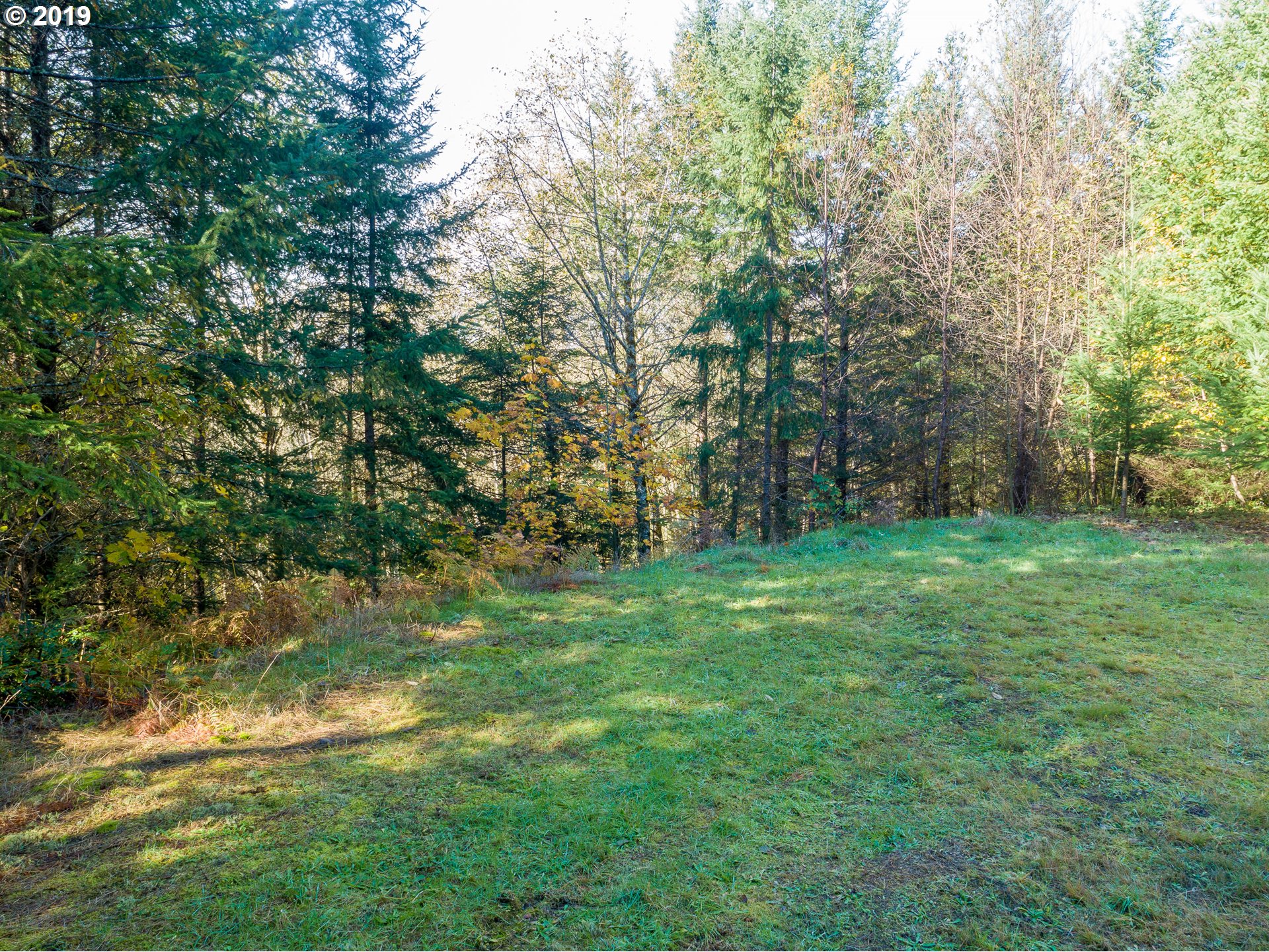 625 Yale Bridge Road Ariel, WA 98603 - Photo 5 of 21 Gallery Image 5
