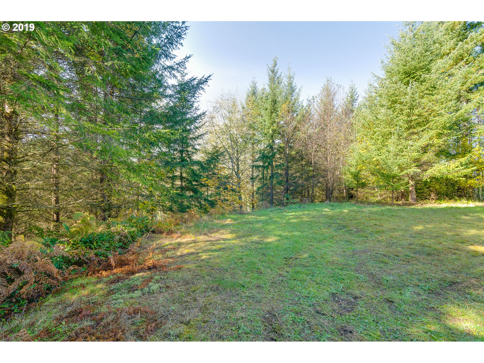 625 Yale Bridge Road Ariel, WA 98603 - Photo 6 of 21 Gallery Image 6
