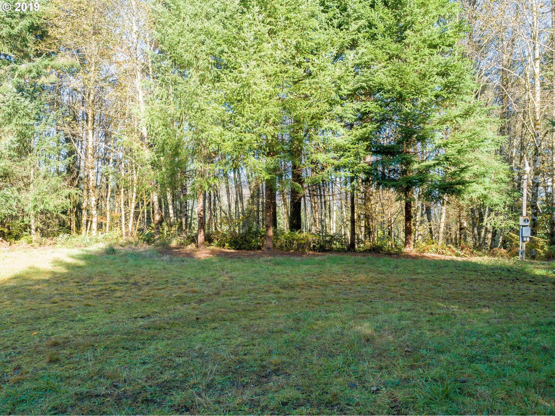 625 Yale Bridge Road Ariel, WA 98603 - Photo 7 of 21 Gallery Image 7