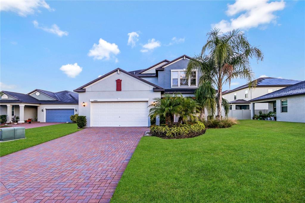 24860 Lambrusco Loop Lutz, FL 33559 - Photo 1 of 1 Front