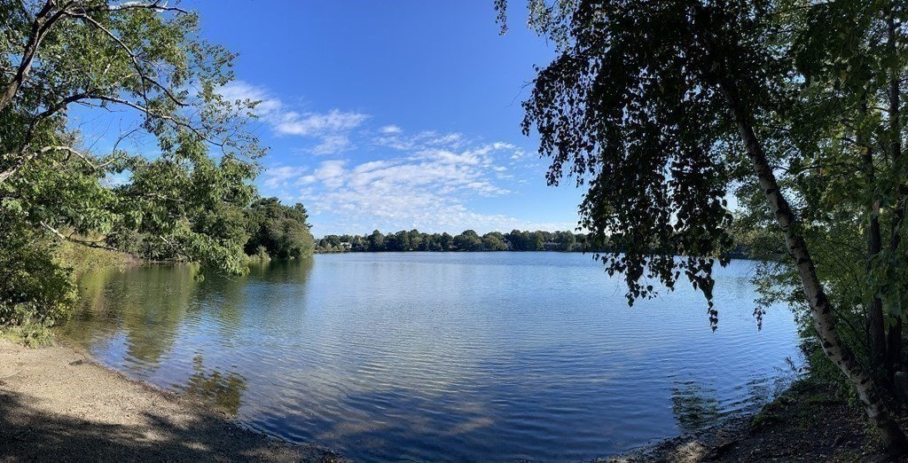 39 Pine Crest Road Newton, MA 02459 - Photo 39 of 39 a view of lake