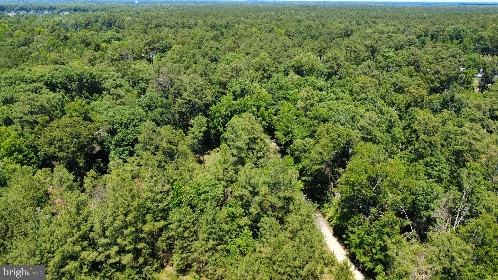 Whirlwind Road Leonardtown, MD 20650 - Photo 10 of 17