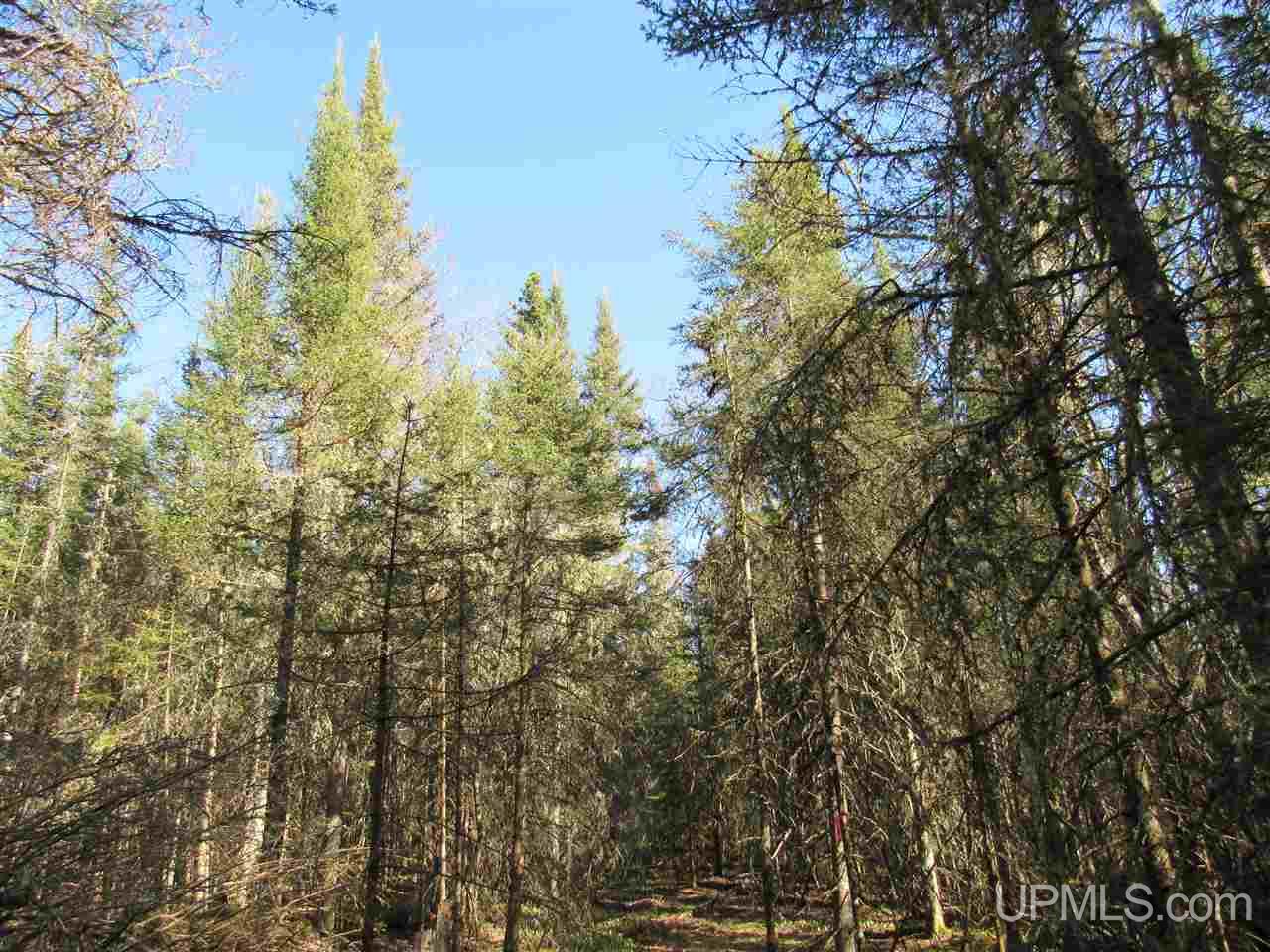 M28 (west) Lanse, MI 49946 - Photo 28 of 30