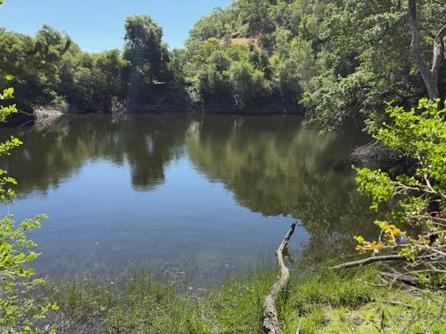 an aerial view of a house with a yard and a lake view