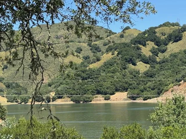 a view of a road with a tree