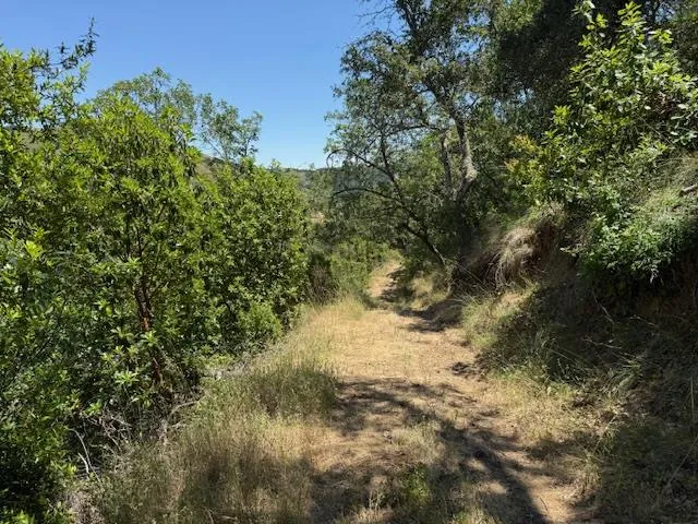 a view of a wooden door and a yard