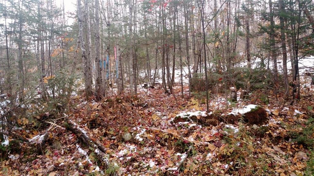 Lot 16 West Off Ackley Pond Rd Mount Mount Chase, ME 04765 - Photo 5 of 8 Photo