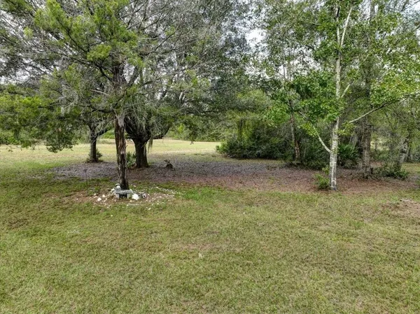 a view of a yard with a tree