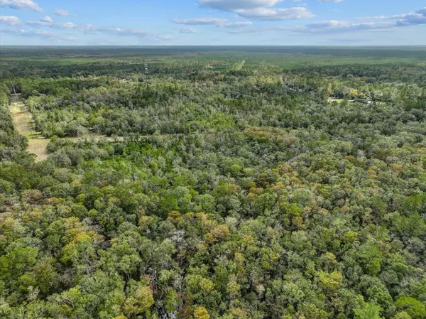 an aerial view of residential houses with outdoor and green space