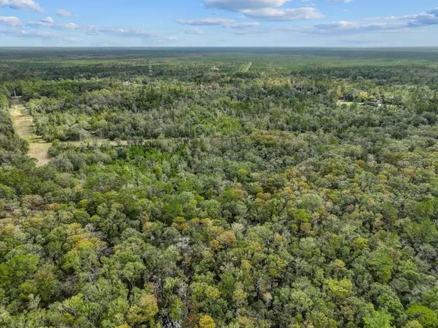 $799,000 | 310 North Otter Creek Avenue, Bronson, FL 32621